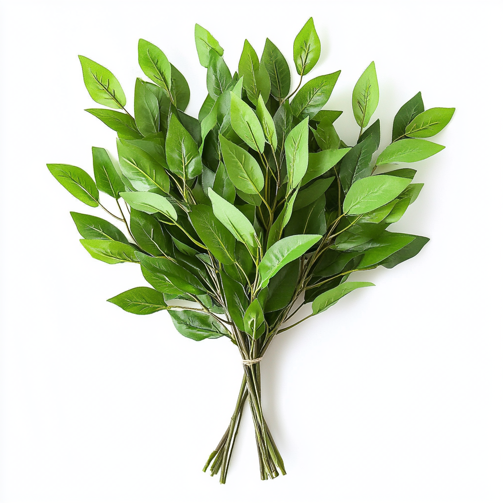 Nagi (Broadleaf Myrtle)